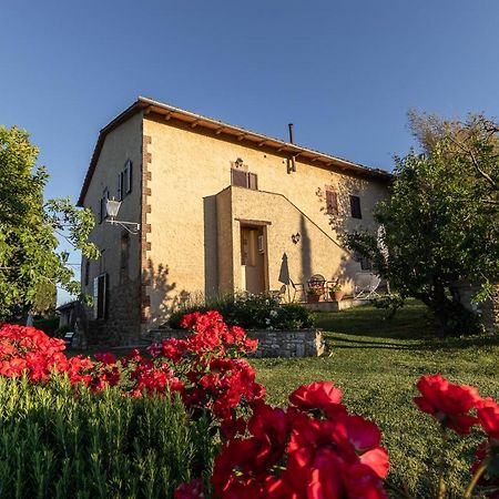 Agriturismo Casanova Asciano Esterno foto