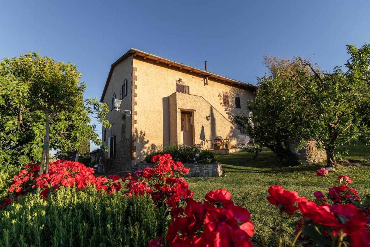 Agriturismo Casanova Asciano Esterno foto